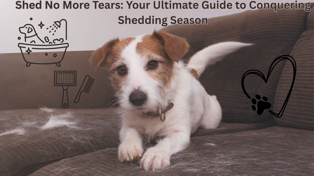 Shed No More Tears: Your Ultimate Guide to Conquering Shedding Season