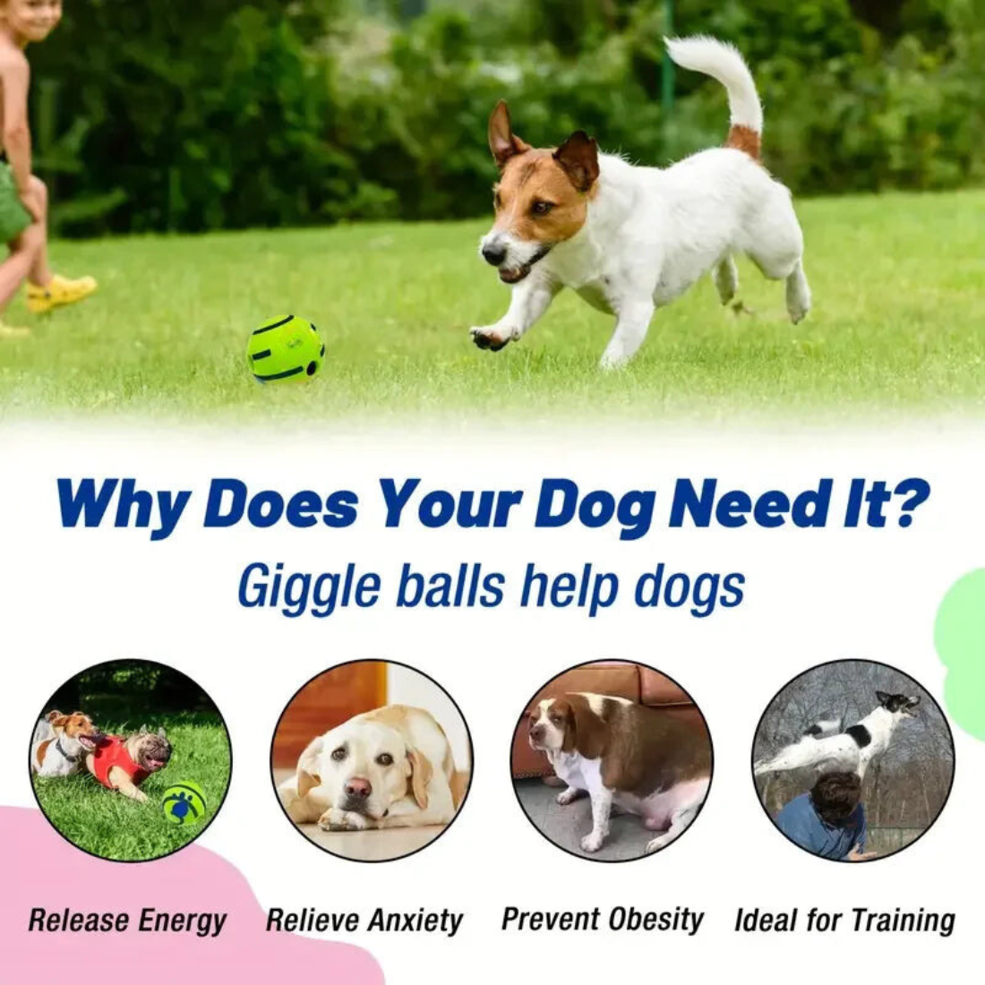 Dog Interactive Chew Ball