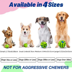 Dog Interactive Chew Ball