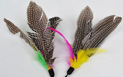 Funny Kitten Teaser Toy