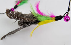 Funny Kitten Teaser Toy