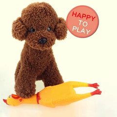 Screaming Rubber Chicken Pets Dog Toys