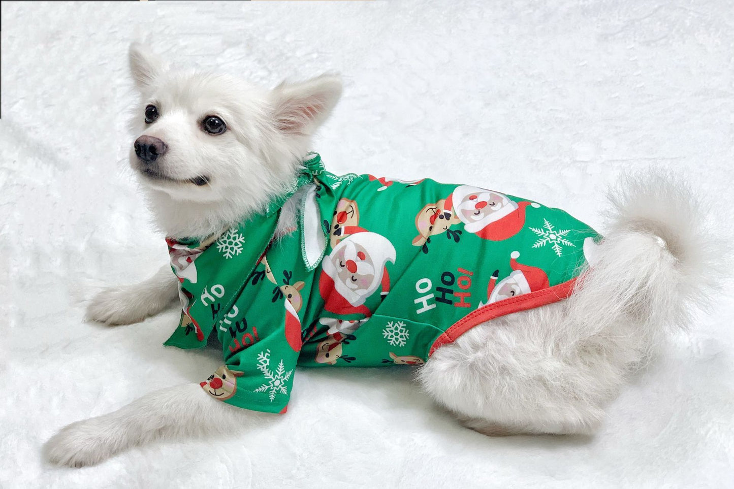 Christmas Santa Claus PJ's For The Whole Family including your pet Dog